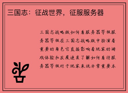 三国志：征战世界，征服服务器